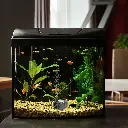Fuentes_EVANS_AQUA3W_4L.webp
