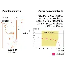 BOS-1-2LH+D1.webp