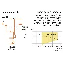 BOS-1-1-2SP+D1.webp