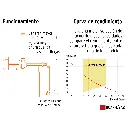 BOAP-1-2A2+FC2.webp