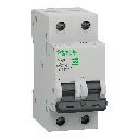 Interruptor automático Easy9 2P 40A 6kA curva C