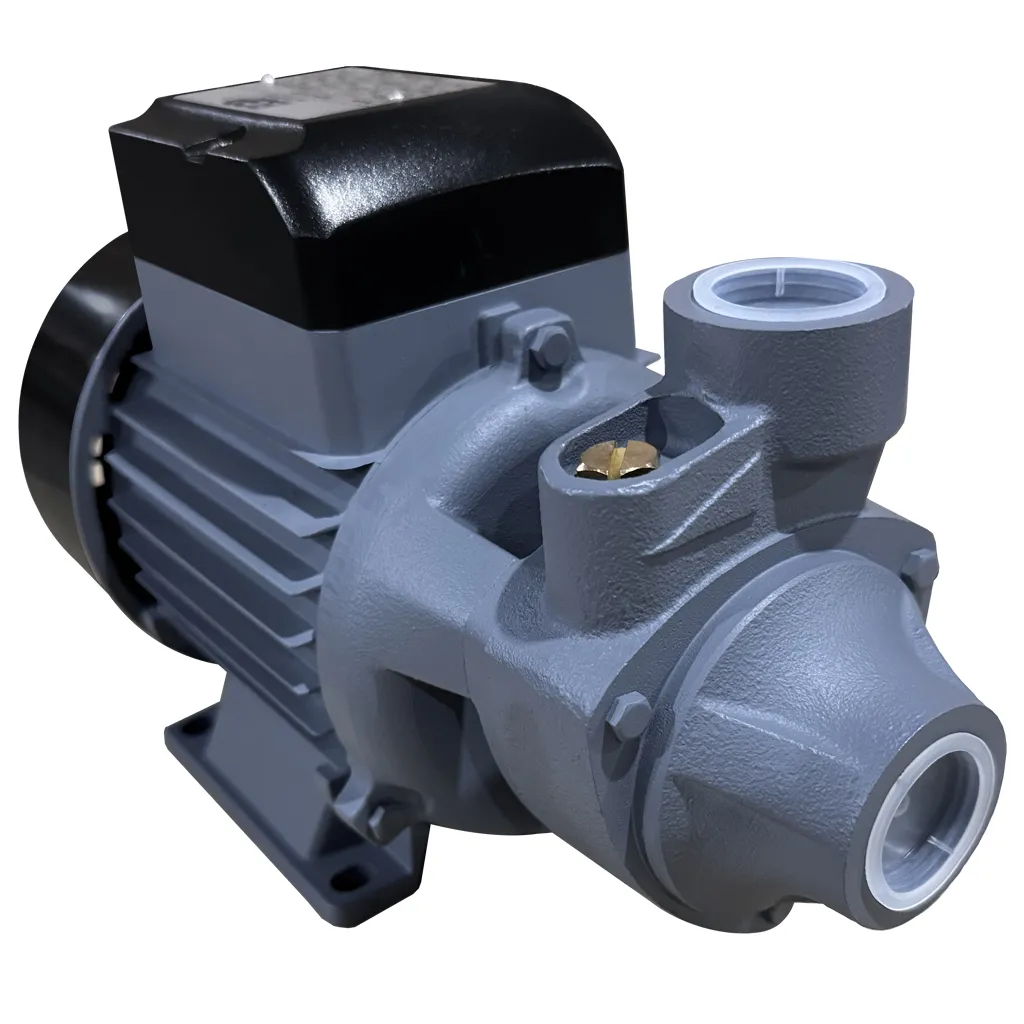 BOMBA PERIFÉRICA CHL80 1"X1" 1HP 230V/1F BGP 1040279