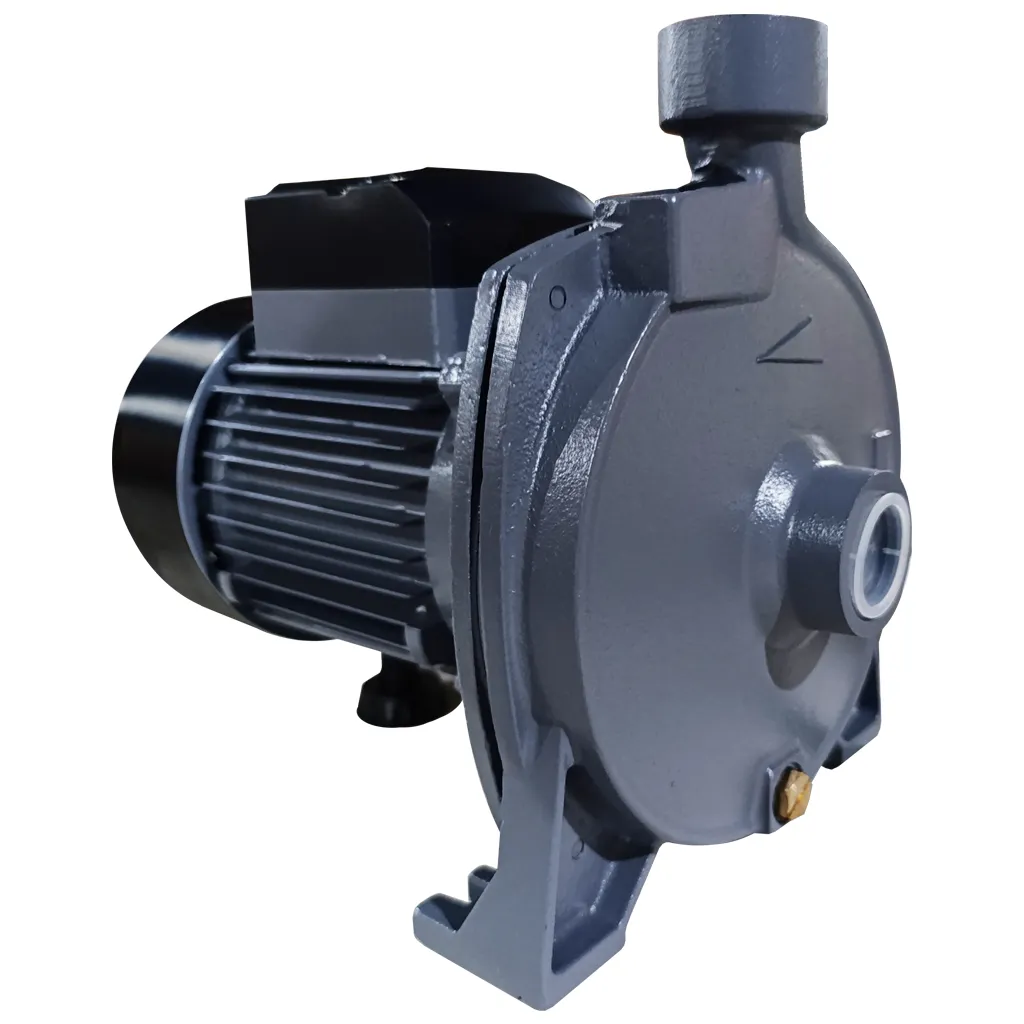 [1040358] BOMBA CENTRIFUGA CHH TIPO CARACOL 1HP 110-220V/1F 1"X1" BGP 1040358