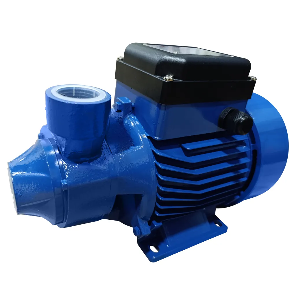 [1040384] BOMBA PERIFERICA YDQ-60 0.5HP 115-230V/1F 1"x1" SPERONI 1040384