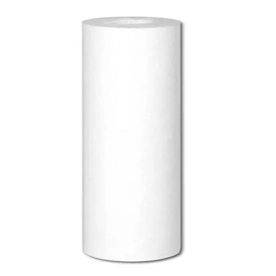 [PP10B] FILTRO POLIPROP 10UM 4.5X10 EVANS SEDIMENTO
